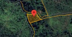 DIJUAL TANAH (± 6 HA) Jl. GN. AMAL (KAMPUNG ENAM)- TARAKAN – KALTARA