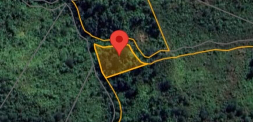 DIJUAL TANAH (± 6 HA) Jl. GN. AMAL (KAMPUNG ENAM)- TARAKAN – KALTARA