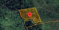 DIJUAL TANAH (± 6 HA) Jl. GN. AMAL (KAMPUNG ENAM)- TARAKAN – KALTARA