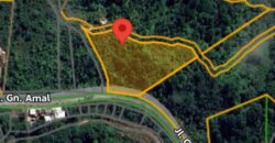DIJUAL TANAH (± 6 HA) Jl. GN. AMAL (KAMPUNG ENAM)- TARAKAN – KALTARA