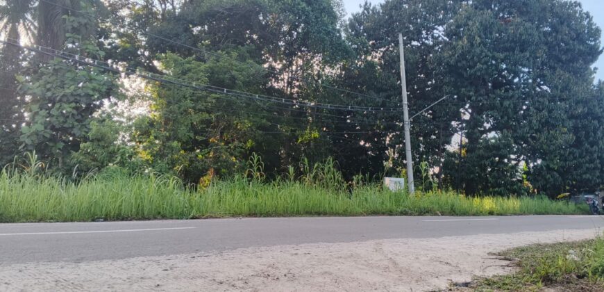 DIJUAL TANAH (± 2,8 HA) Jl. PUNAS MERANTI (ARAH PLTMG GN. SERIANG) – BULUNGAN – KALTARA