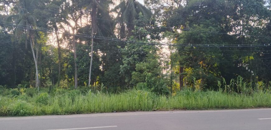 DIJUAL TANAH (± 2,8 HA) Jl. PUNAS MERANTI (ARAH PLTMG GN. SERIANG) – BULUNGAN – KALTARA