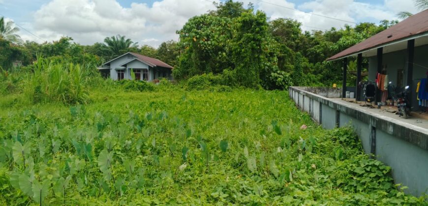 DIJUAL TANAH Jl. GELATIK GG. MURAI (DEKAT MASJID DARUSSALAM) – BULUNGAN – KALTARA