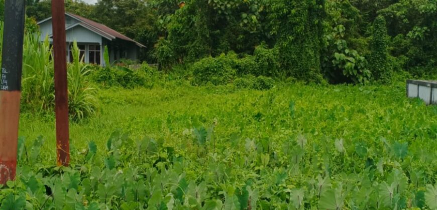 DIJUAL TANAH Jl. GELATIK GG. MURAI (DEKAT MASJID DARUSSALAM) – BULUNGAN – KALTARA