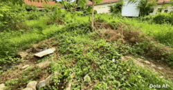 DIJUAL TANAH JL. CEMPEDAK – BULUNGAN – KALTARA