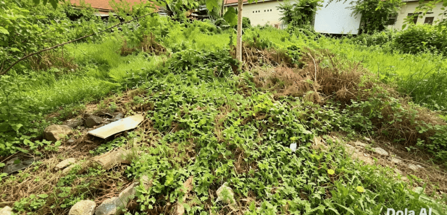 DIJUAL TANAH JL. CEMPEDAK – BULUNGAN – KALTARA