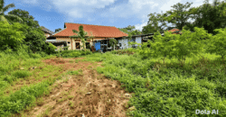 DIJUAL TANAH JL. CEMPEDAK – BULUNGAN – KALTARA
