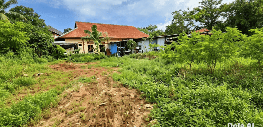 DIJUAL TANAH JL. CEMPEDAK – BULUNGAN – KALTARA