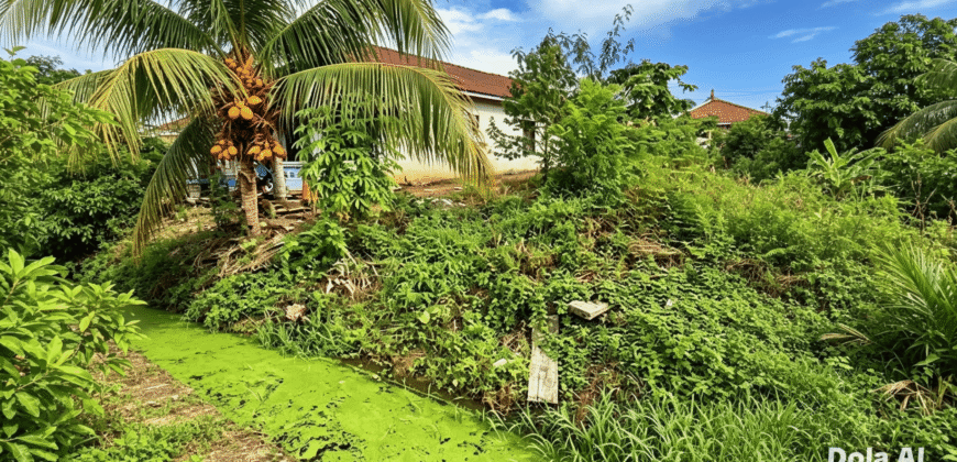 DIJUAL TANAH JL. CEMPEDAK – BULUNGAN – KALTARA