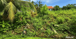 DIJUAL TANAH JL. CEMPEDAK – BULUNGAN – KALTARA