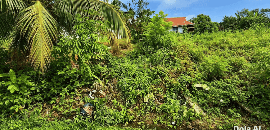 DIJUAL TANAH JL. CEMPEDAK – BULUNGAN – KALTARA