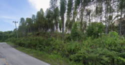 DIJUAL TANAH Jl. AHMAD YANI (SEKATAK BENGARA) – BULUNGAN – KALTARA