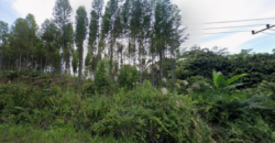 DIJUAL TANAH Jl. AHMAD YANI (SEKATAK BENGARA) – BULUNGAN – KALTARA