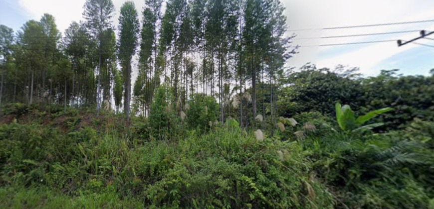 DIJUAL TANAH Jl. AHMAD YANI (SEKATAK BENGARA) – BULUNGAN – KALTARA