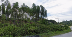DIJUAL TANAH Jl. AHMAD YANI (SEKATAK BENGARA) – BULUNGAN – KALTARA