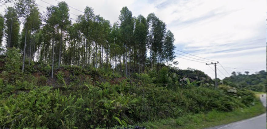 DIJUAL TANAH Jl. AHMAD YANI (SEKATAK BENGARA) – BULUNGAN – KALTARA