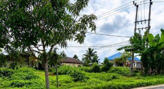 DIJUAL TANAH Jl. KAPUR/JAMBU (BELAKANG UNIVERSITAS KALTARA) – BULUNGAN – KALTARA