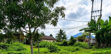 DIJUAL TANAH Jl. KAPUR/JAMBU (BELAKANG UNIVERSITAS KALTARA) – BULUNGAN – KALTARA
