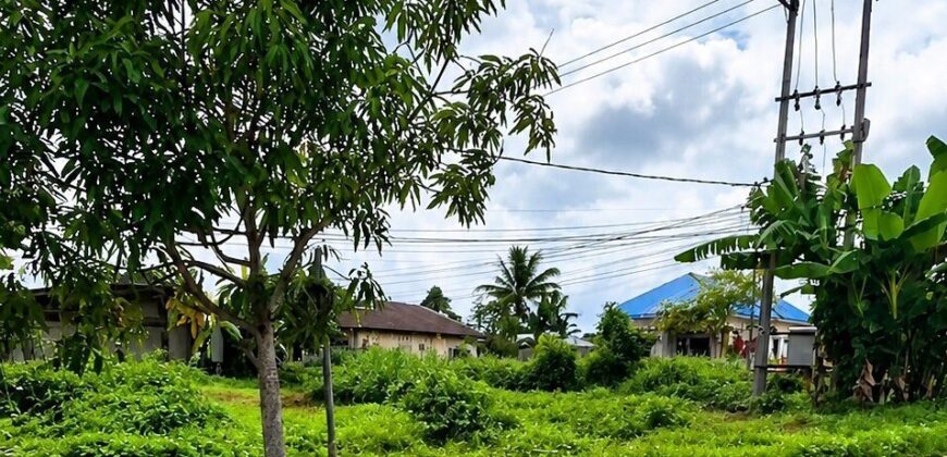 DIJUAL TANAH Jl. KAPUR/JAMBU (BELAKANG UNIVERSITAS KALTARA) – BULUNGAN – KALTARA