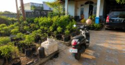 DIJUAL RUMAH JL. LEMBASUNG – BULUNGAN – KALTARA
